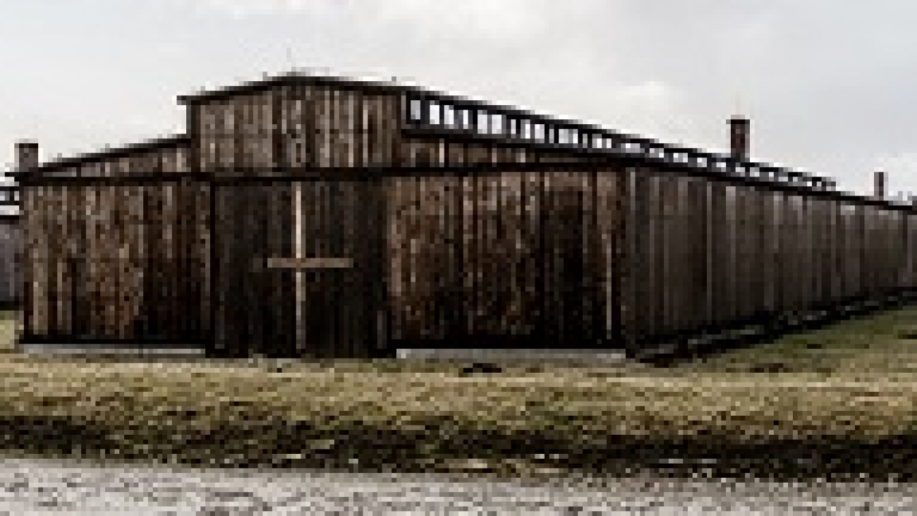 birkenau tour